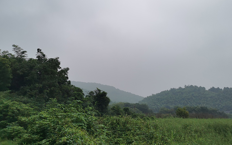 未標(biāo)題-2.jpg
